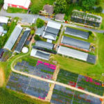 One of Pennsylvania’s Most Charming Garden Centers Is Filled With Colorful Flowers and Country Charm