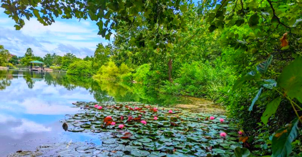 One of Missouri’s Most Beautiful City Parks Has a Lake, Beach, and Scenic Walking Trails