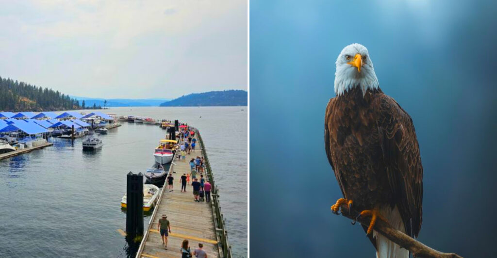 This Idaho State Park Has Lake Views, Bald Eagles, and One of the State’s Best Paved Trails