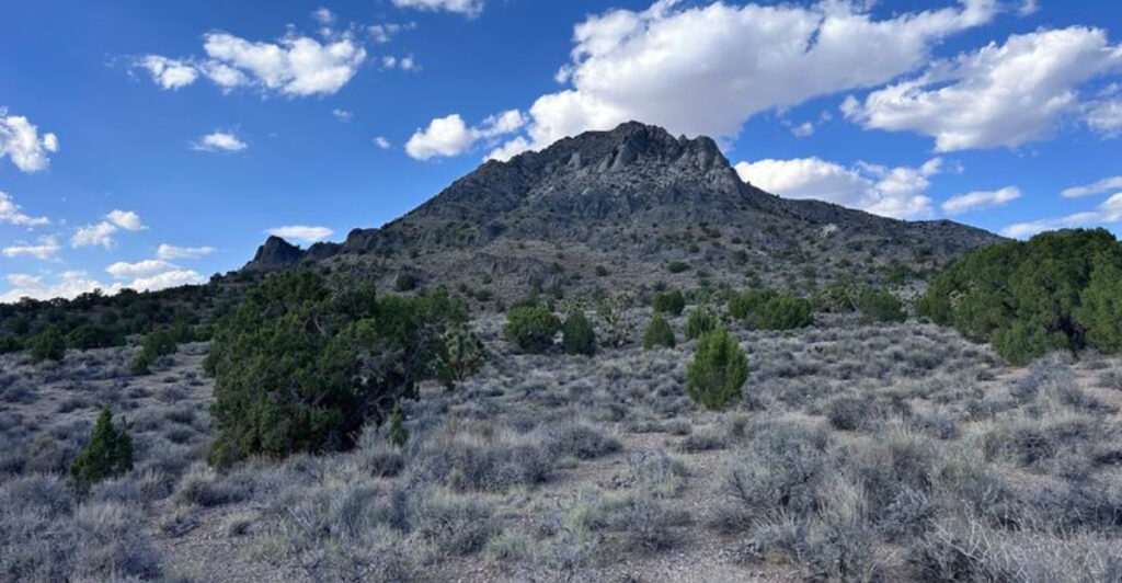 This Nevada Fossil Site Lets You Hunt for 500-Million-Year-Old Trilobites