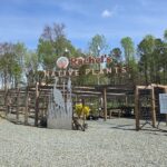 This Pittsboro Nursery Is Where Native North Carolina Plants Take Over Your Whole Garden Plan
