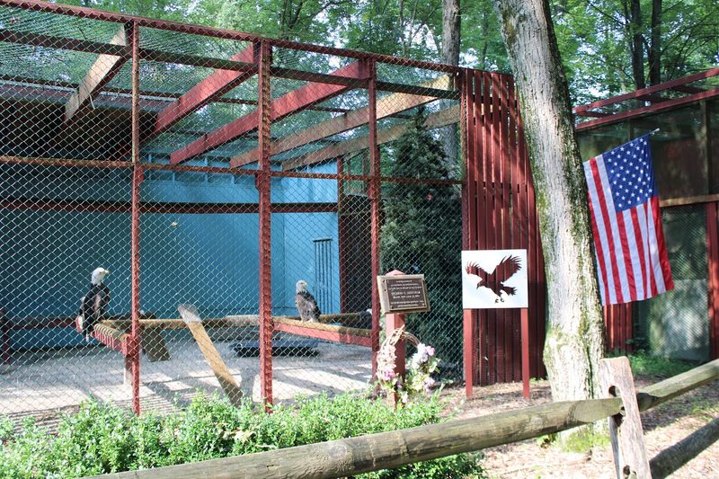 This New Jersey Bird Hospital Lets You See Rescued Raptors And Owls Without Paying Admission