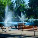 This Montana Park Has a Beloved Duck Pond, Beautiful Gardens, and Family-Friendly Trails
