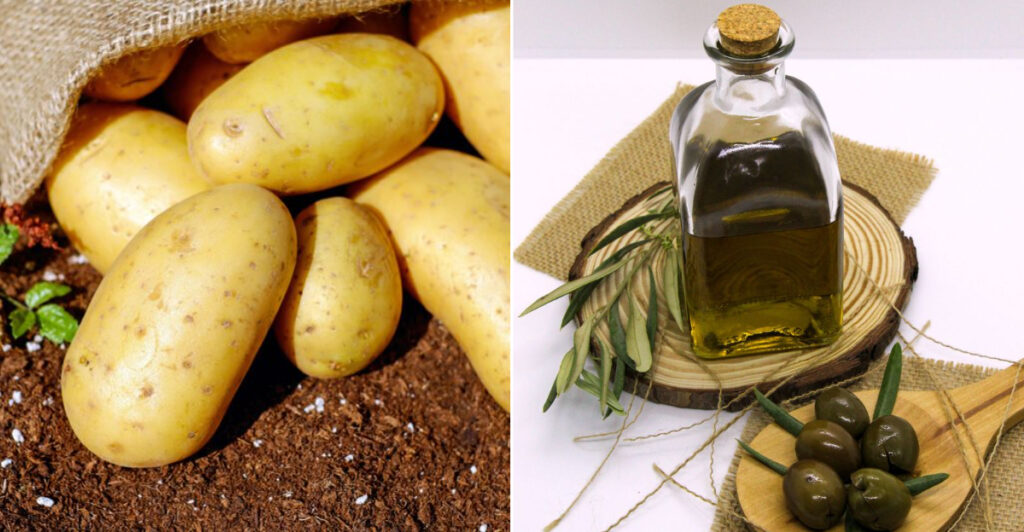 The Ancient Staples That Still Influence What The World Eats Today