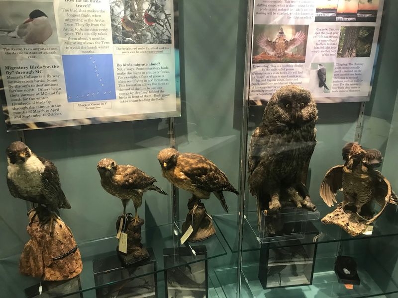 17,000 Bird Eggs and a Collection That Rivals the Best in the Country 17,000 Bird Eggs and a Collection That Rivals the Best in the Country