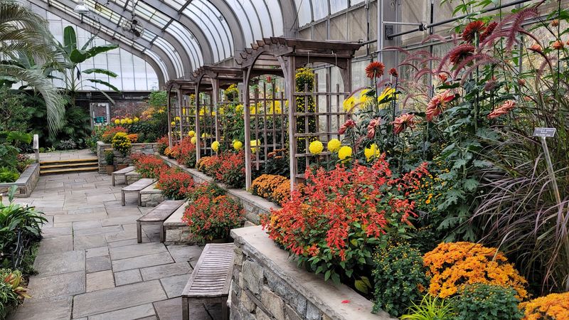 20,000 Plants and the People Who Tend Them 20,000 Plants and the People Who Tend Them