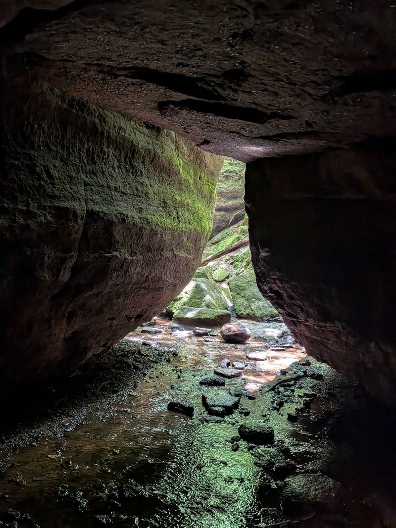 320 Million Years of Rock Worth Climbing