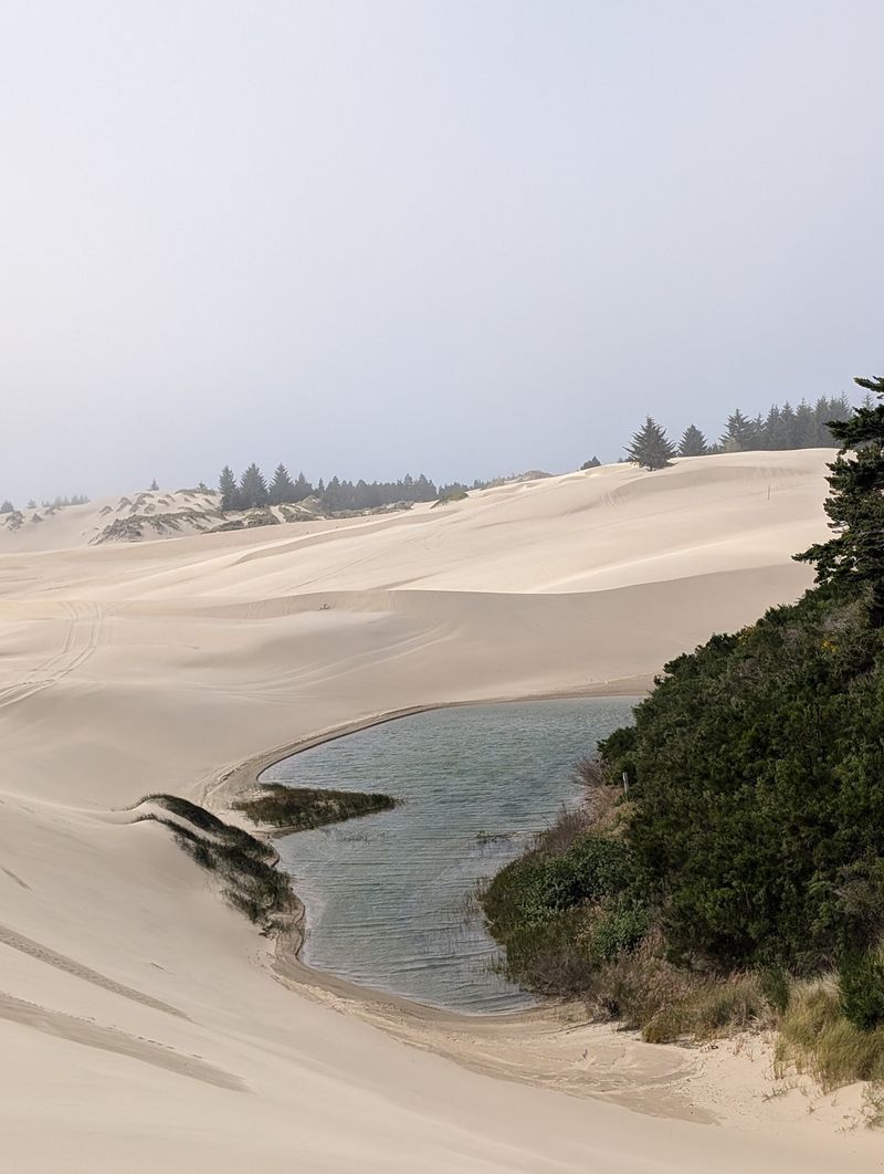 40 Miles of Wind-Sculpted Sand