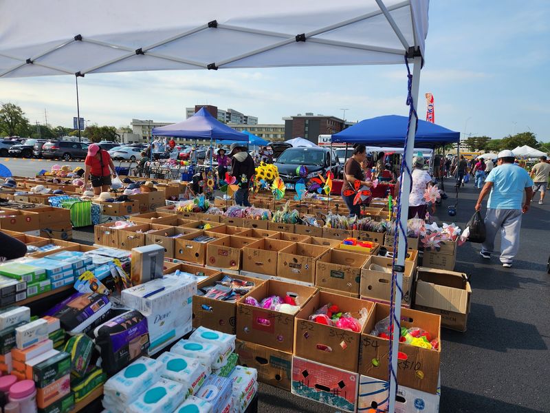 700+ Vendors and Counting: The Sheer Scale of the Market 700+ Vendors and Counting: The Sheer Scale of the Market