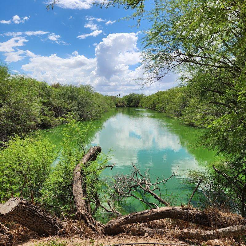 A 40-Acre Wetland That Costs Less Than a Cup of Coffee A 40-Acre Wetland That Costs Less Than a Cup of Coffee