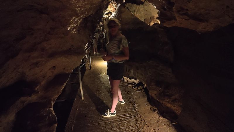 A Bat Welcoming Committee and Cave Critters A Bat Welcoming Committee and Cave Critters