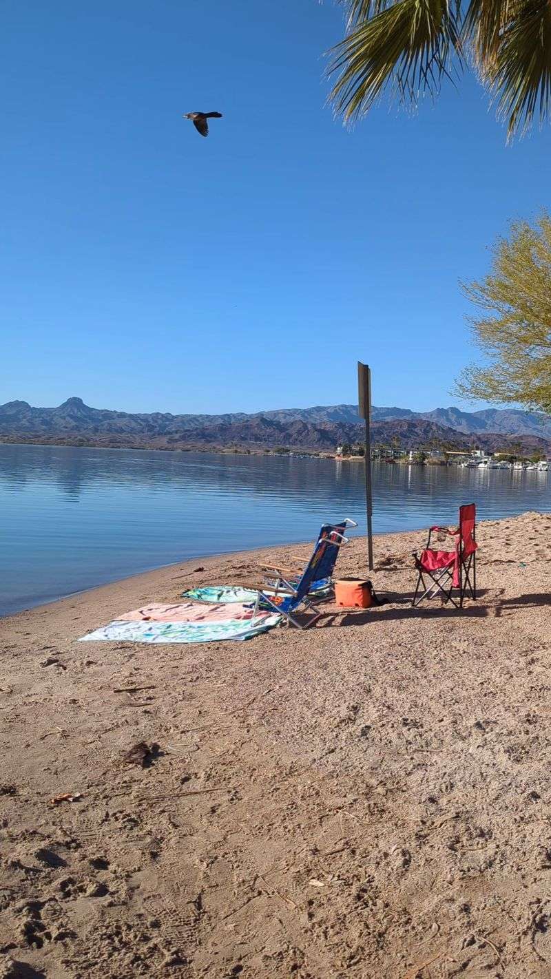 A Beach Just for the Dogs