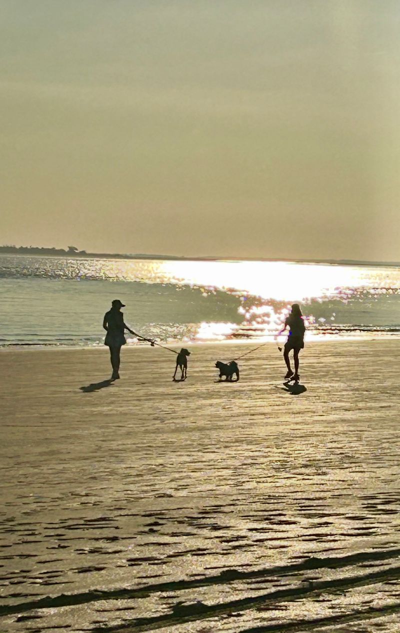 A Beach That Welcomes Dogs A Beach That Welcomes Dogs