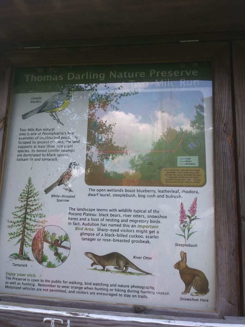 A Bird Habitat That Grew From 29 to Over 100 Species