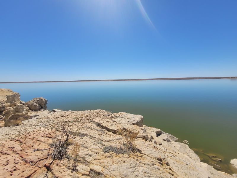 A Birding Spot That Rivals Any in the State A Birding Spot That Rivals Any in the State