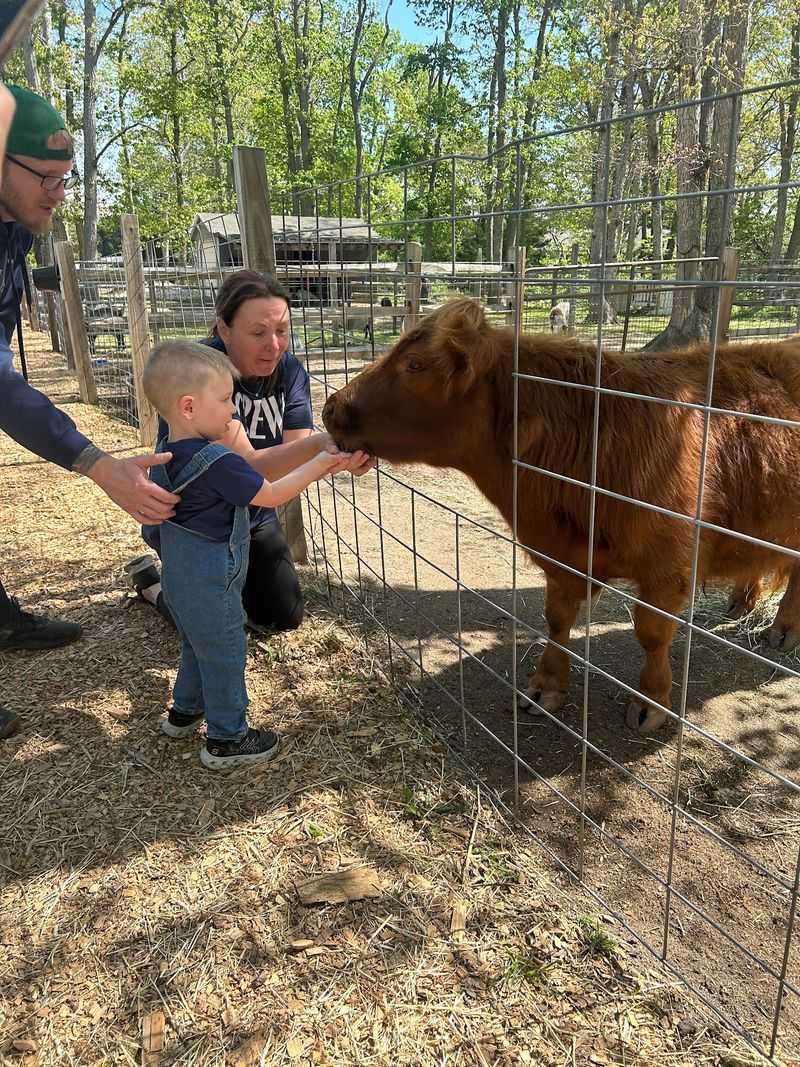 A Cape May County Farm With a Very Specific Address A Cape May County Farm With a Very Specific Address