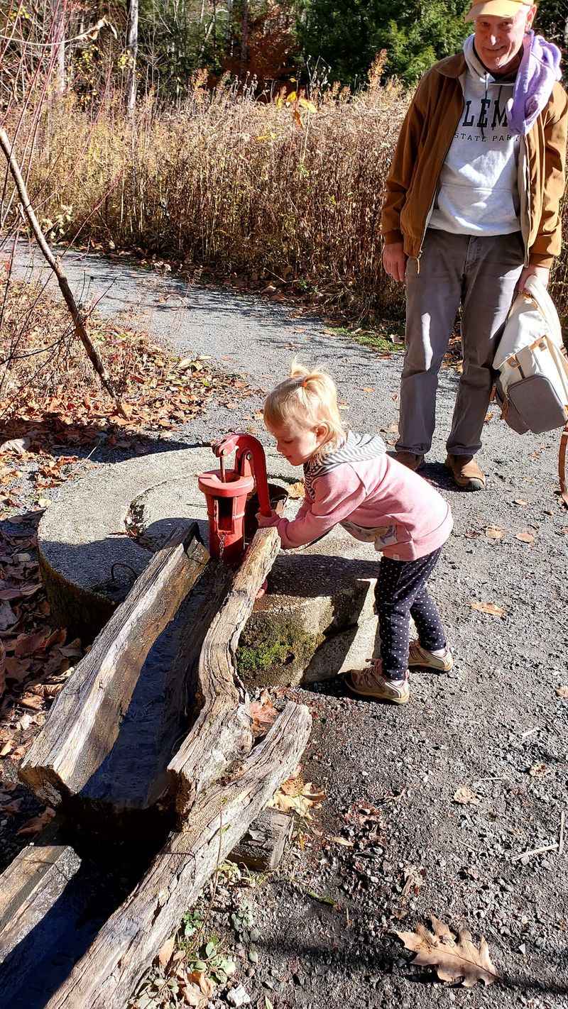 A Children's Book You Walk Through in the Woods A Children's Book You Walk Through in the Woods