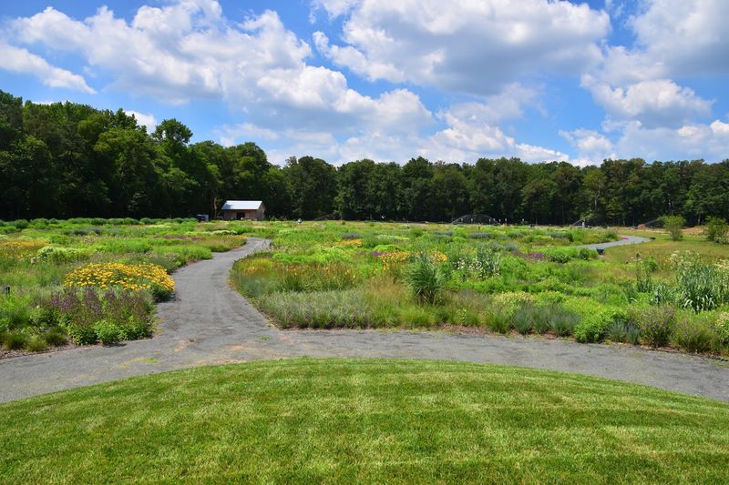 A Coastal Plain Address Worth Knowing