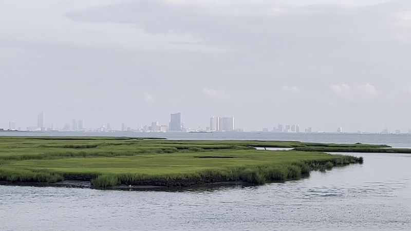 A Coastal Refuge With A Galloway Address A Coastal Refuge With A Galloway Address