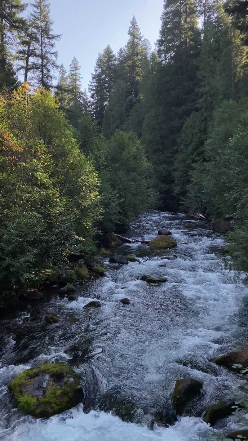 A Cool-Off Plunge in the River Below A Cool-Off Plunge in the River Below