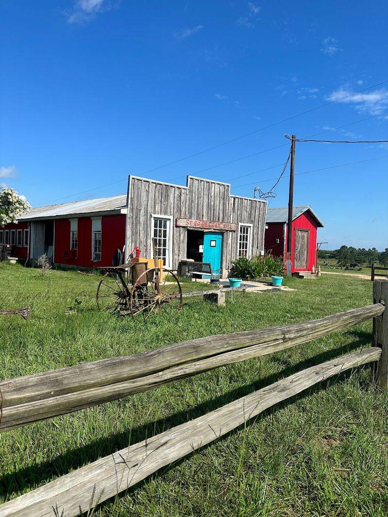 A Country Escape in Plantersville A Country Escape in Plantersville
