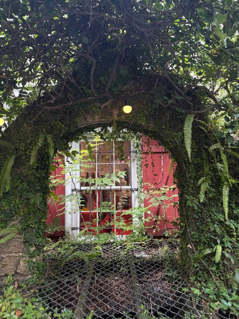 A Courtyard That Earns the Word Magical A Courtyard That Earns the Word Magical