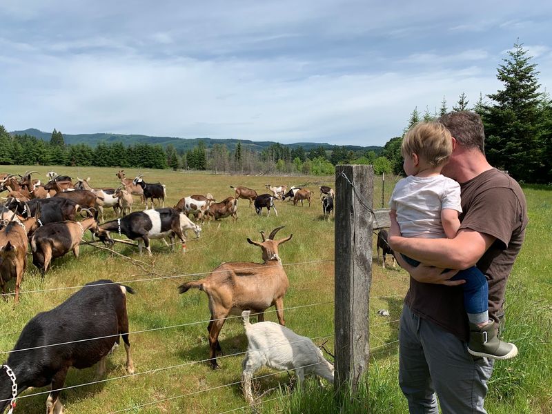 A Creamery Tucked Into the Gales Creek Countryside A Creamery Tucked Into the Gales Creek Countryside