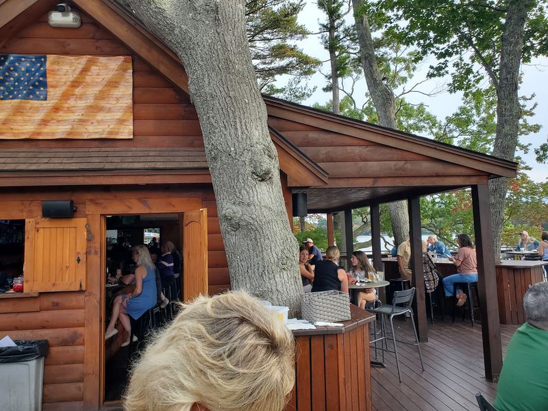 A Dinner Table With a Tree Growing Through It A Dinner Table With a Tree Growing Through It