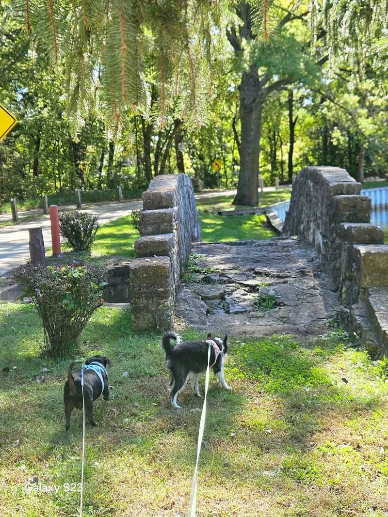 A Dog-Friendly Corner That Four-Legged Visitors Adore A Dog-Friendly Corner That Four-Legged Visitors Adore