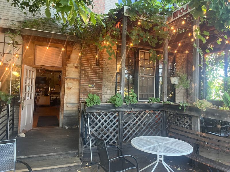 A Dog-Friendly Stop in the City