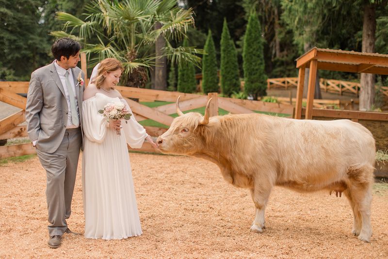 A Fairytale Wedding Venue in the Forest