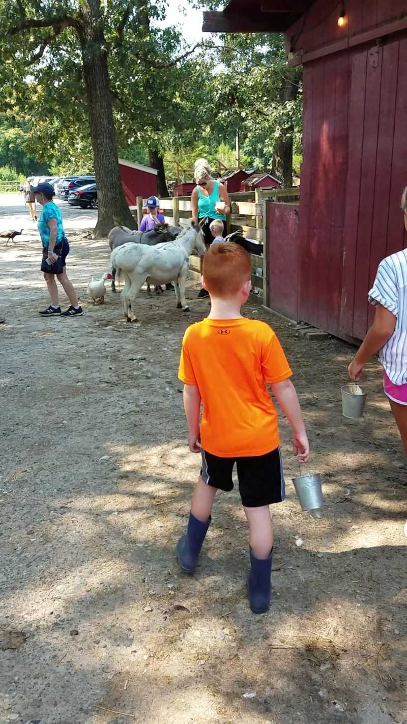 A Family Day That Actually Works A Family Day That Actually Works