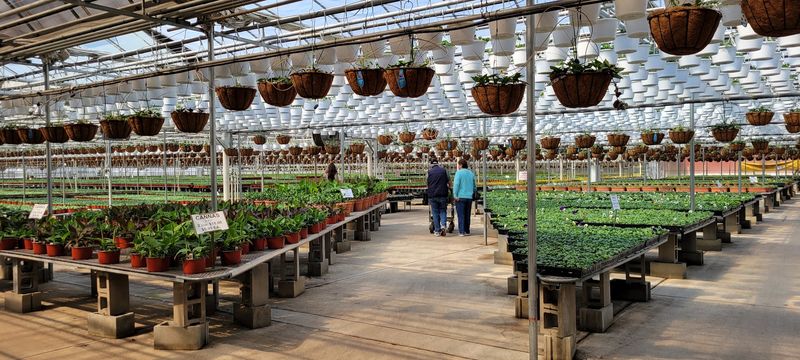 A Family Farm Feel Behind a Huge Plant Operation A Family Farm Feel Behind a Huge Plant Operation