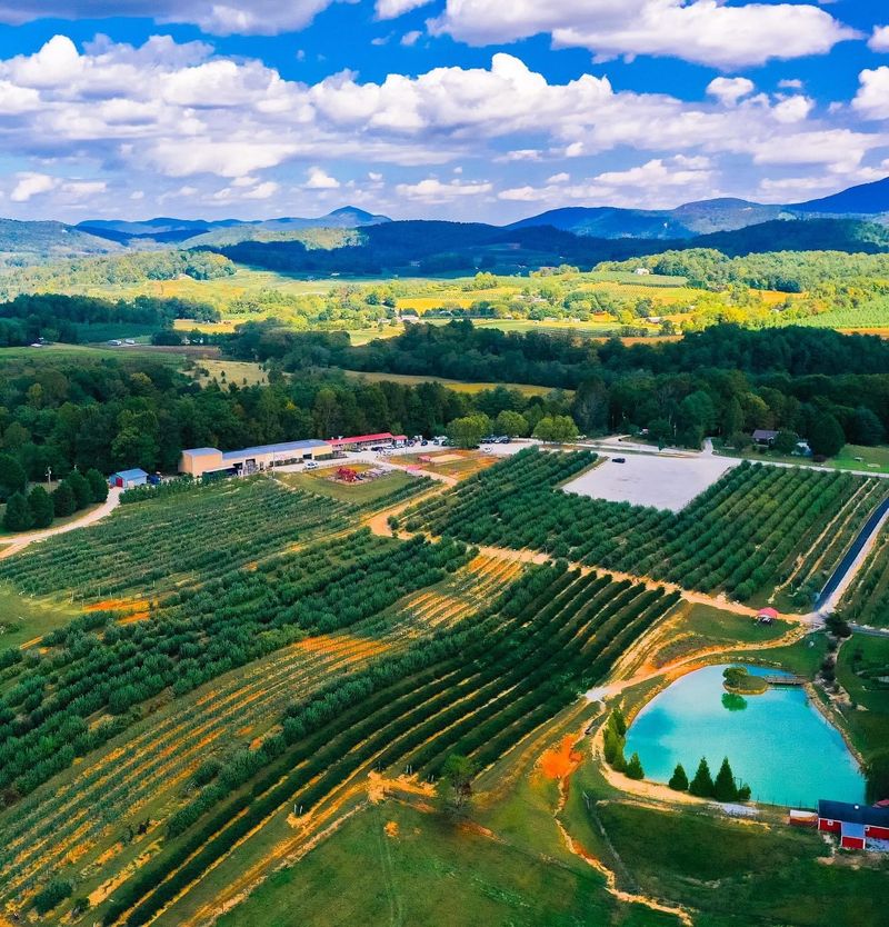 A Family Farm Tucked Into the Blue Ridge Foothills A Family Farm Tucked Into the Blue Ridge Foothills
