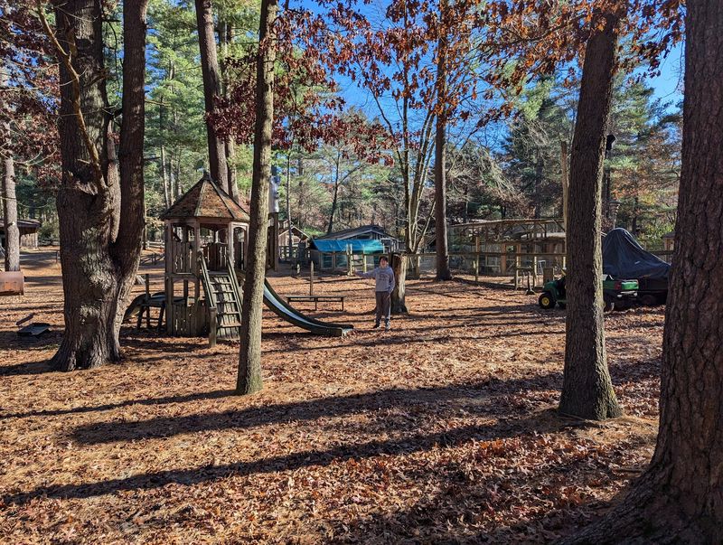 A Family-Friendly Outing With a Play Area A Family-Friendly Outing With a Play Area