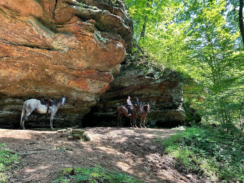 A Family-Run Stable With a Clear Philosophy A Family-Run Stable With a Clear Philosophy