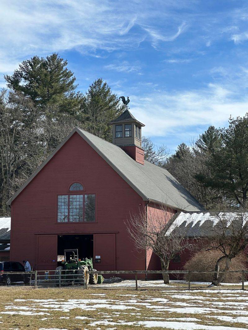 A Farm That Doubles as a Refuge A Farm That Doubles as a Refuge