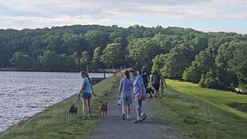 A Favorite Spot for Dog Walkers A Favorite Spot for Dog Walkers