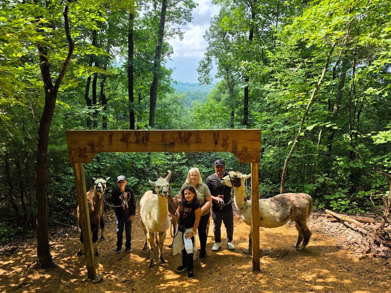 A Favorite Spot for Photos and Big Moments
