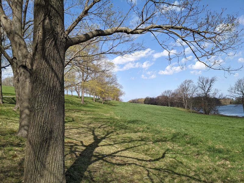 A Favorite Spot for Picnics and Easy Days Out A Favorite Spot for Picnics and Easy Days Out