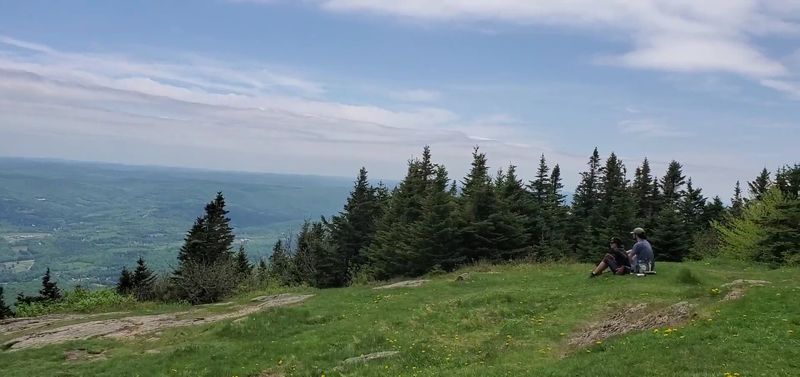 A Favorite Spot for Picnics and Family Time