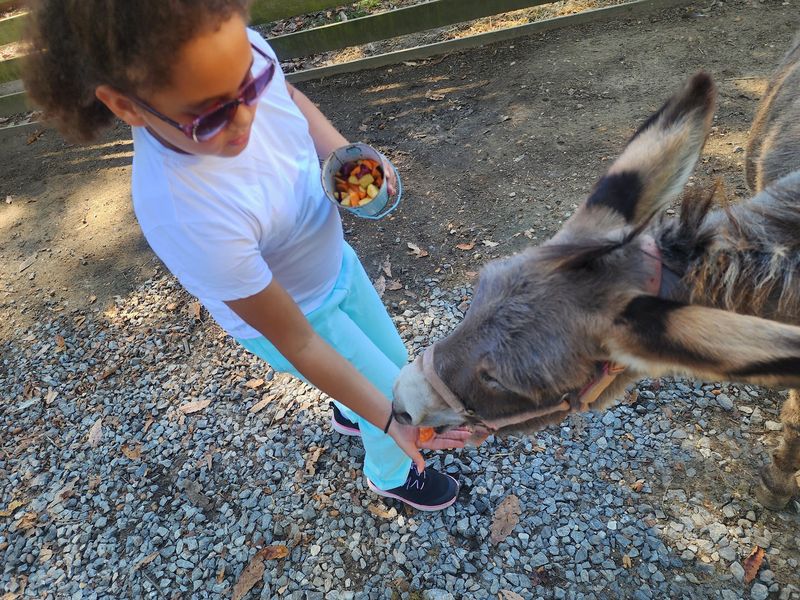 A Feeding Experience That Keeps Everyone Busy A Feeding Experience That Keeps Everyone Busy