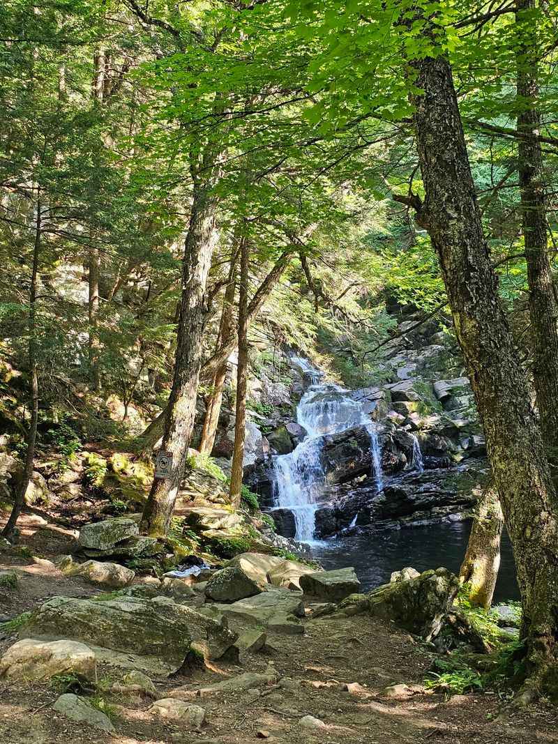 A Five-Minute Walk to the Water