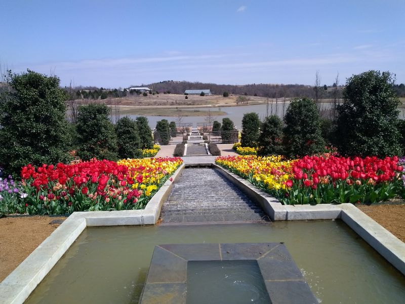 A Garden Built on Vision: The Story Behind the Space