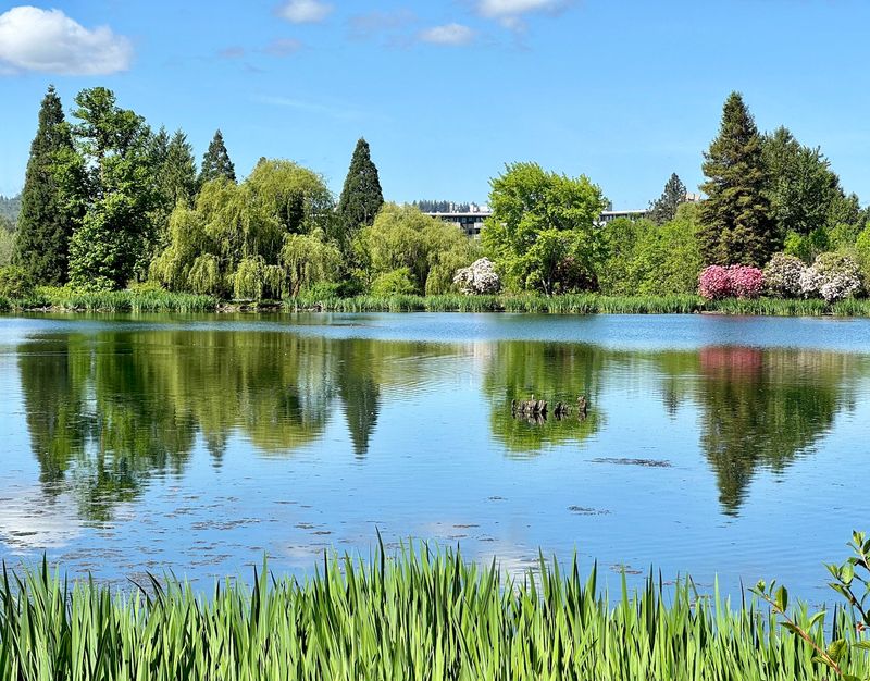 A Garden With a Story Worth Knowing A Garden With a Story Worth Knowing