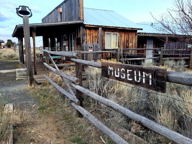 A Gift Shop, Picnic Tables, and a Friendly Cat