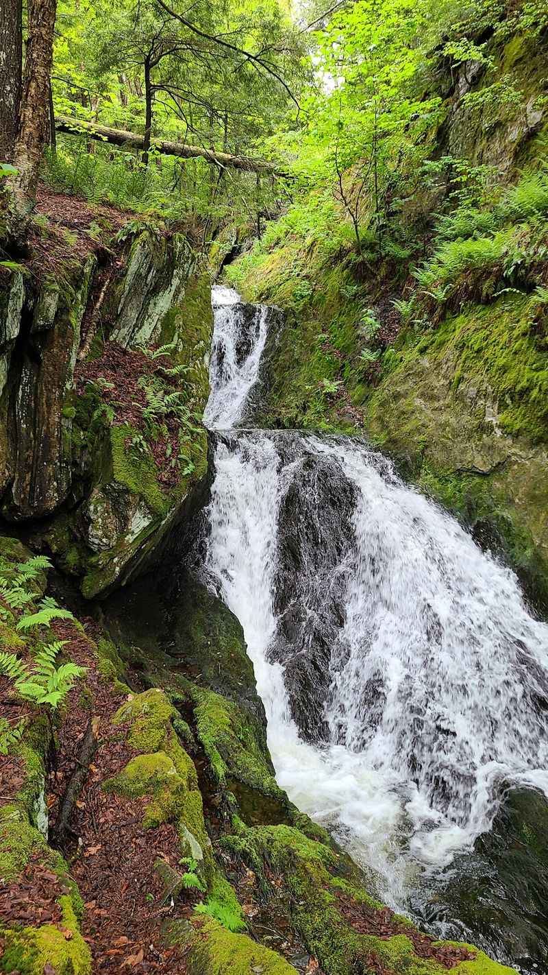 A Glen Along Ross and Tannery Brooks