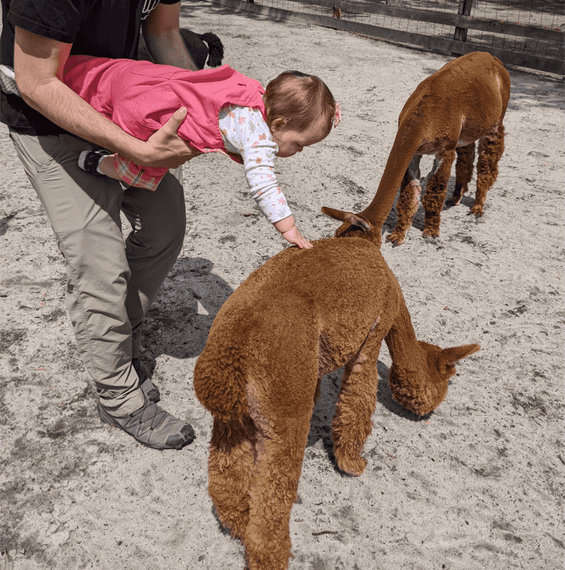 A Guided Tour Built Around Animal Time A Guided Tour Built Around Animal Time