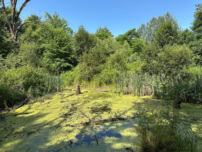 A Haven for Bird Watchers A Haven for Bird Watchers