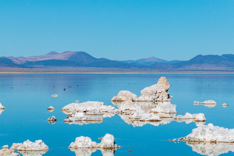 A Haven for Birds and Kayakers A Haven for Birds and Kayakers